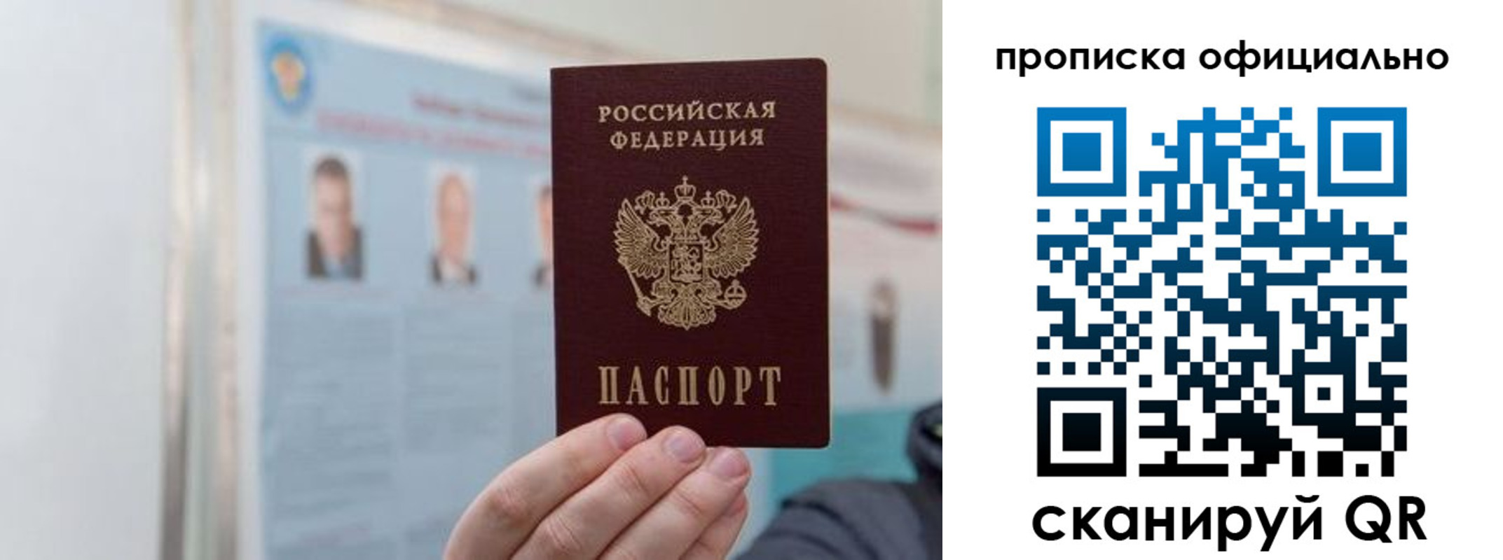 прописка гарантия в Апатитах